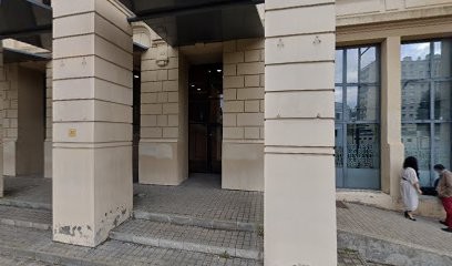 CO Vert, paysagiste Saint-Etienne (Loire 42), travaux espace vert, tonte gazon, Paysagiste à Saint-Étienne