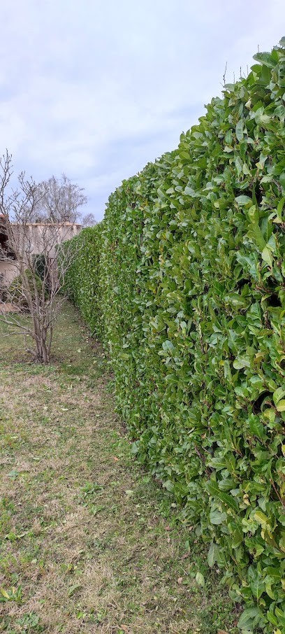 Grégoire Savoy paysagiste - Paysagiste Malissard 26120, Paysagiste à Malissard