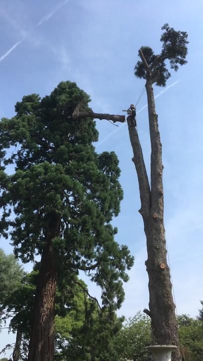 Si Pres Des Arbres, Paysagiste à Broué