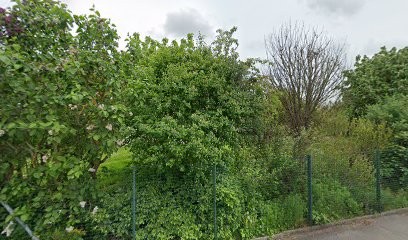 Ô Jardin D'Yves, Paysagiste à Méréville