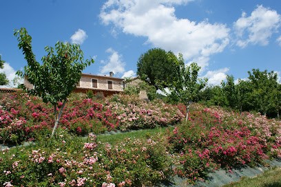 Rigaud Espaces Verts, Paysagiste à Laboutarie