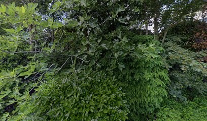 Doitrand Gilles-Un Autre Jardin, Paysagiste à Saint-Romain-en-Jarez