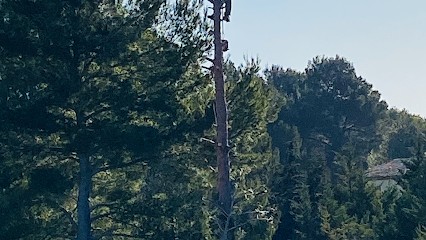 Jacques espace vert, Paysagiste à Saint-Avold