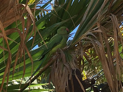 VB Garden, Paysagiste au Porge
