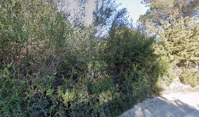 Comandré - Loidon Paysages, Paysagiste à La Cadière-d'Azur