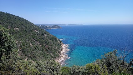 Racines et graines - V.J.E.M. sarl, Paysagiste à Cavalaire-sur-Mer