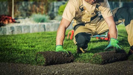 DUVICQ JARDIN ET TRAVAUX, Paysagiste à Siest