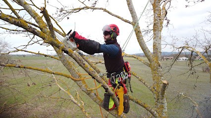 ARBOPRO PAYSAGE, Paysagiste à Maurens