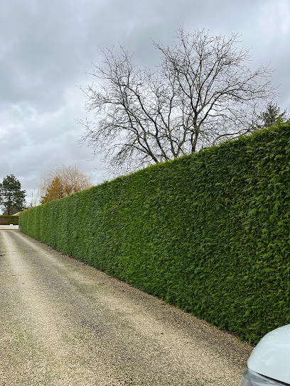 Vincent Martin Espaces Verts Paysagiste à Montaulin
