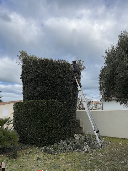 Pp Paysagiste Paysagiste à Saint-Georges-d'Oléron