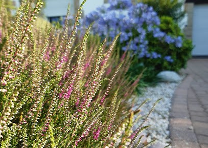 Les Jardins De Neel, Paysagiste à Séné
