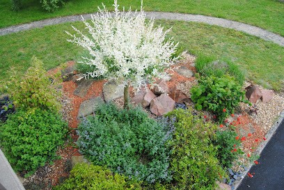 Du Sens au Jardin, Paysagiste à Saint-Pierre-d'Oléron