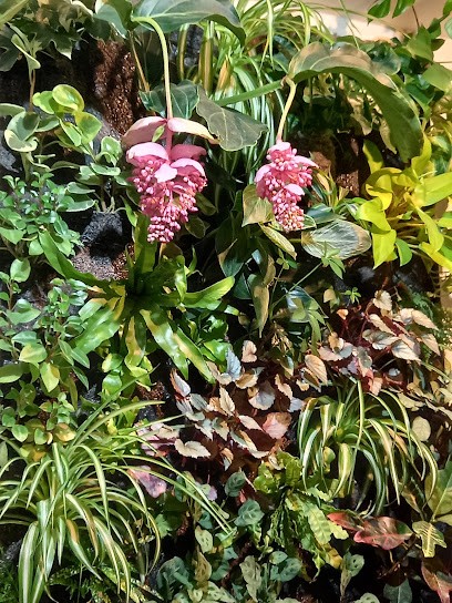 association aqua-dendro, Paysagiste à Créteil