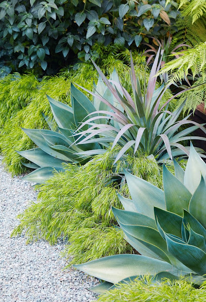 Terragarden - Jardinier Paysagiste - Solaro, Paysagiste à Hyères