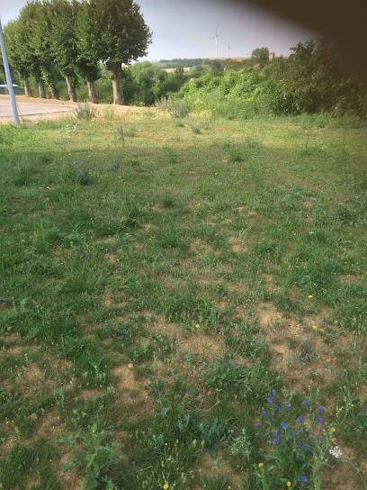 Schoutz David Fabien, Paysagiste à Serrouville