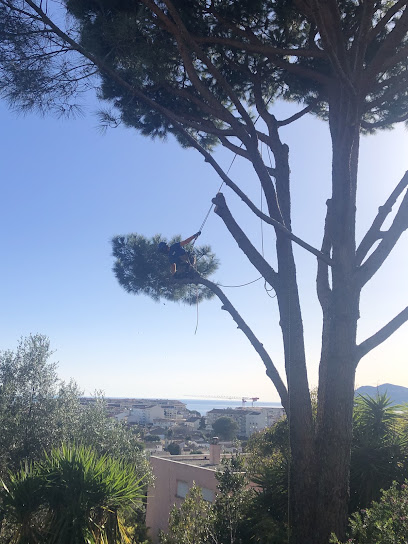 Meyer Paysagiste Paysagiste à Mougins
