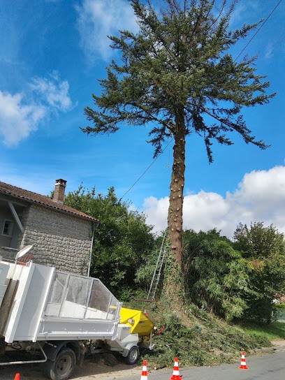 Passion Paysage 16, Paysagiste à Ruelle-sur-Touvre