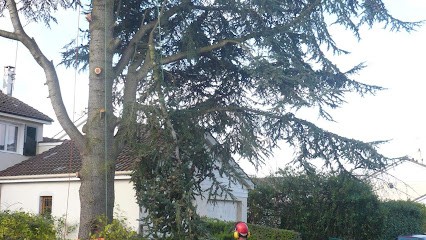 D'une Branche à L'autre, Paysagiste à Longny les Villages