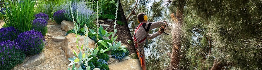 Vincent Auzolle Paysagiste, Paysagiste à Cébazat