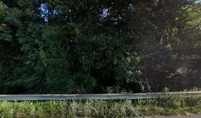 Vert Azur, Paysagiste à Orchies