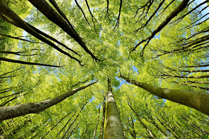 Bureau D'études Canopée - Paysages, Agroforesterie & Aménagements Extérieurs Paysagiste à Brunstatt-Didenheim