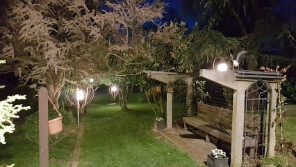 Arboréa Jardin Conseil, Paysagiste à Tassin-la-Demi-Lune