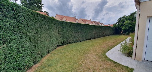 Jardin d'Anthony, Paysagiste à Ris-Orangis