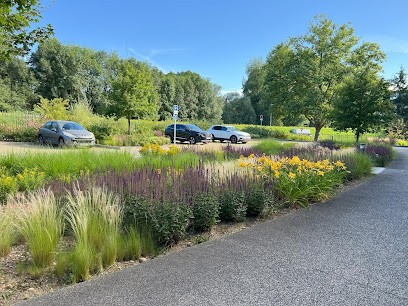 Grandeur Nature, Paysagiste à Limonest