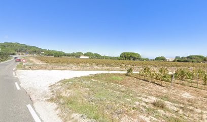 Pampelonne Maisons et Jardins, Paysagiste à Ramatuelle