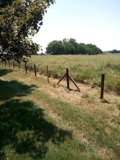 Richard Perche Entretien, Paysagiste à Saint-Quentin-de-Blavou