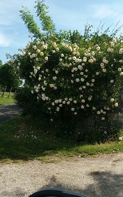 Bonnet Michel, Paysagiste à Saint-Savinien