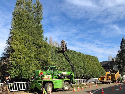 entreprise Bertrand, Paysagiste à Hugleville-en-Caux
