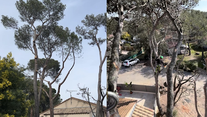 Innov Azur Jardins Paysagiste à la Colle-sur-Loup