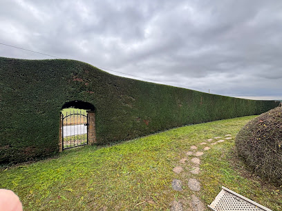 Les Jardins D'antonin Paysagiste à Saint-André-sur-Vieux-Jonc