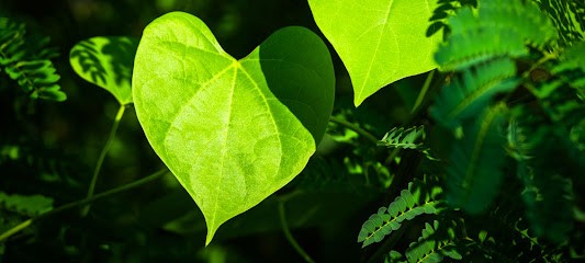 Agrément du Jardin, Paysagiste à Toufflers