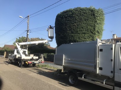 Artisan Buche : Jardinier Élagueur 69 à Mions - Etêtage Élagage Abattage D'Arbres Pose Gazon En Rouleau Clôture Rhône-Alpes, Paysagiste à Mions