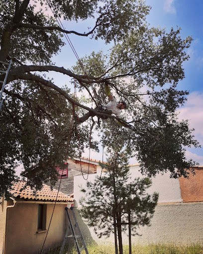 Eclat De Vert, Paysagiste à Péret