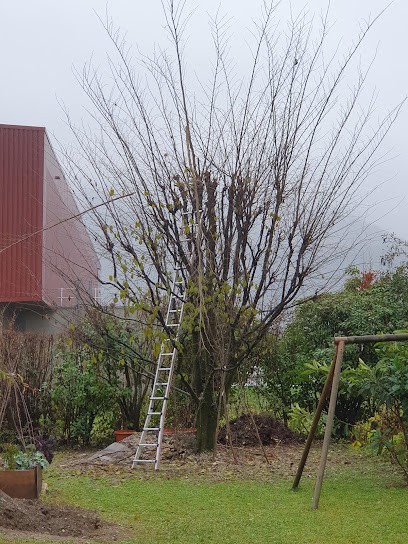 Oxalis Paysages Et Services Sarl, Paysagiste à Vif