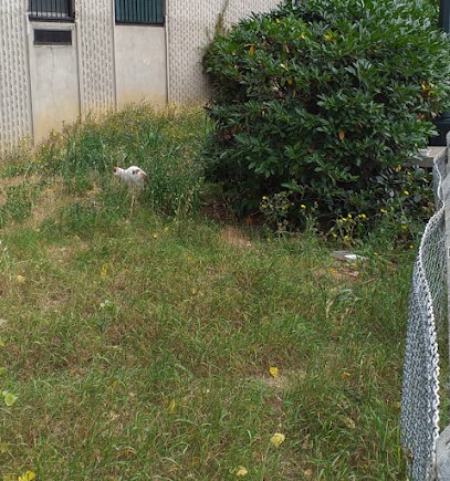 Les Jardins D'Héricy, Paysagiste à Champagne-sur-Seine