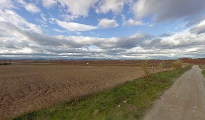BS Paysage, Paysagiste à Colombiers