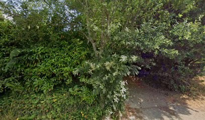 Mon Jardin Extraordinaire, Paysagiste à Saint-Jean-de-Boiseau