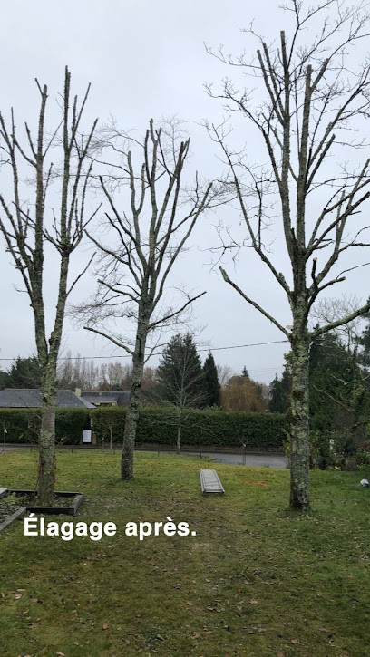 Élagueur Rezé ES Paysagiste Jardinier Nantes - arbres dangereux - taille de haie - abattage étêtage d'arbre - tonte pelouse, Paysagiste à Rezé
