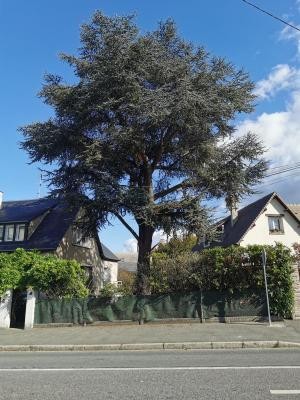 Elagage Eure : Dominique Elagage, Paysagiste à Normanville