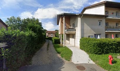 Bennier Henri, Paysagiste à Fareins