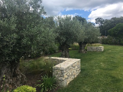 Carole Viot / Paysagiste Conceptrice, Paysagiste à Uzès