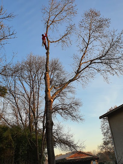 A.D PRO ÉLAGAGE ET ABBATAGE, Paysagiste à Sablons