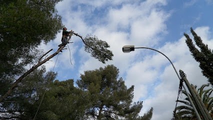 Mb Jardin SARL, Paysagiste à La Seyne-sur-Mer