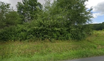 Mike Élagueur, Paysagiste à Blésignac