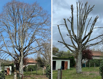 Jm Paysagiste & Élagueur En Gironde – Bordeaux – Artigues-Près-Bordeaux, Paysagiste à Artigues-près-Bordeaux