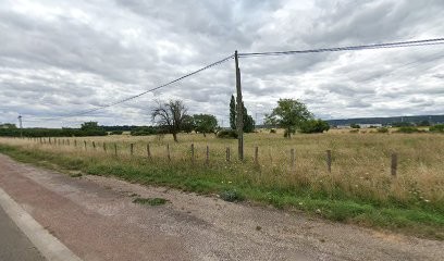 M.D Paysage, Paysagiste à Perrigny-lès-Dijon